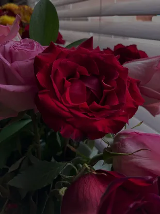 OnlyFans cuenta rosegoldswitch header 2