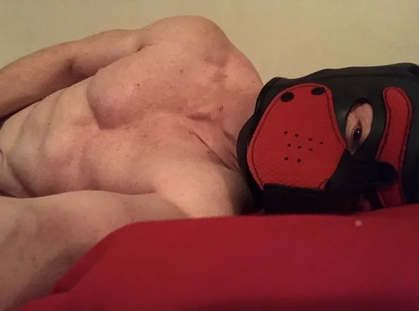 OnlyFans account  tinybtm header 2