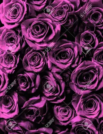 OnlyFans cuenta eva_camile69 header 1