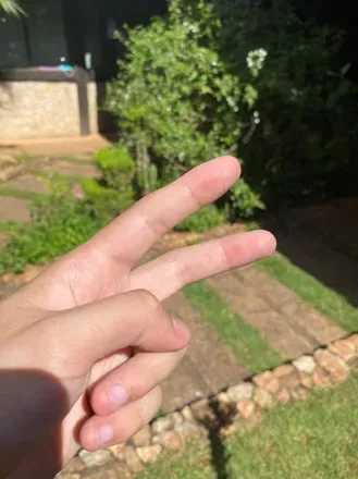 OnlyFans account  aninimo header 2
