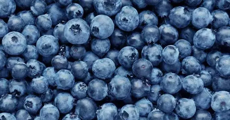 OnlyFans cuenta funmissblueberry header 2