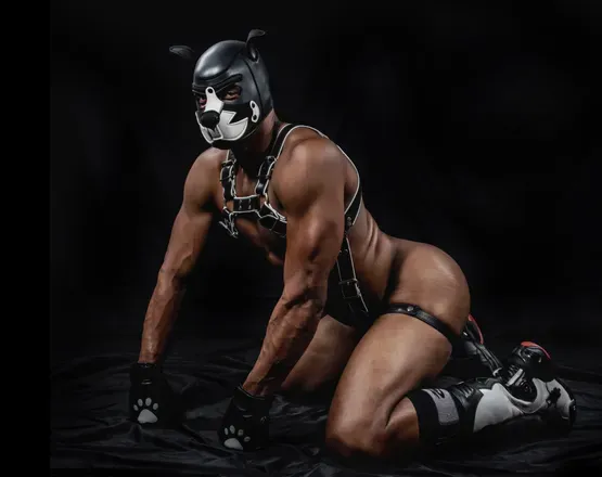 OnlyFans cuenta doggoraeko avatar 1