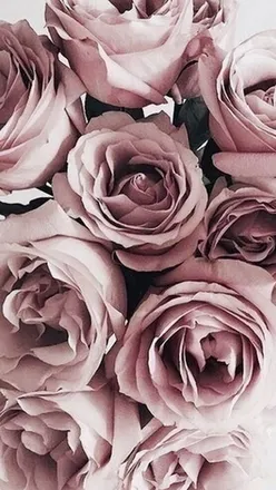OnlyFans cuenta mkforever4 header 2