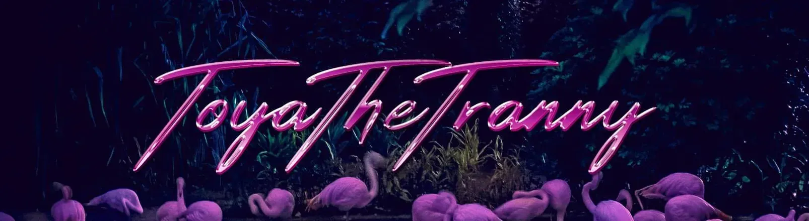 OnlyFans cuenta tthetranny header 2