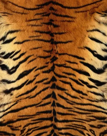 OnlyFans cuenta gaby_tiger header 2