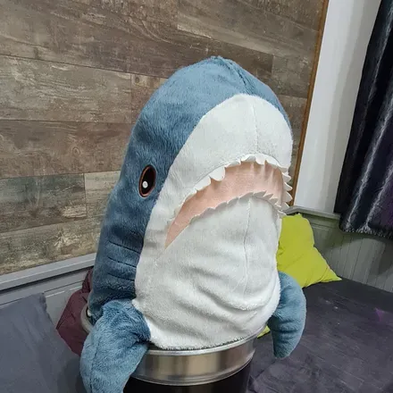 OnlyFans cuenta gyulashark avatar 1