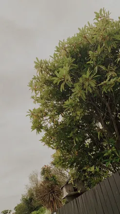OnlyFans cuenta bryarplw header 2