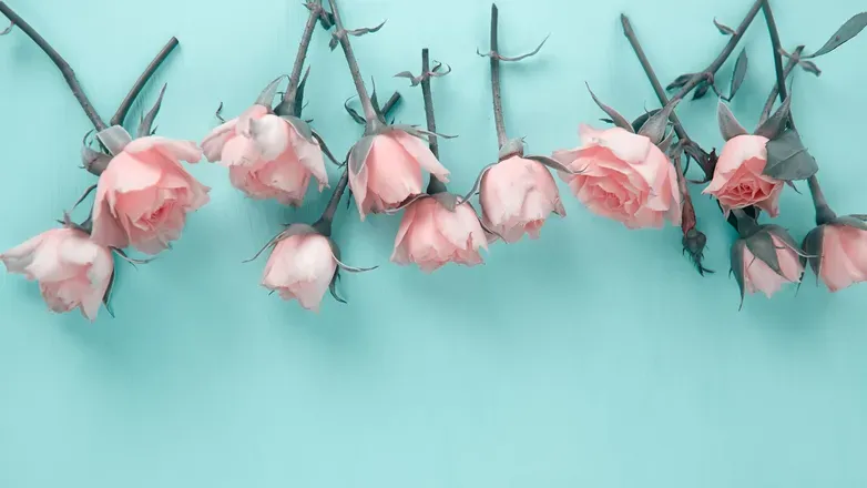 OnlyFans account  skylerlo header 2