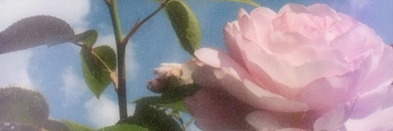 OnlyFans cuenta plutonianbabe header 2