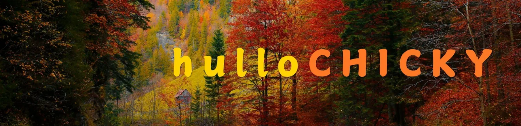 OnlyFans cuenta hullochicky header 2