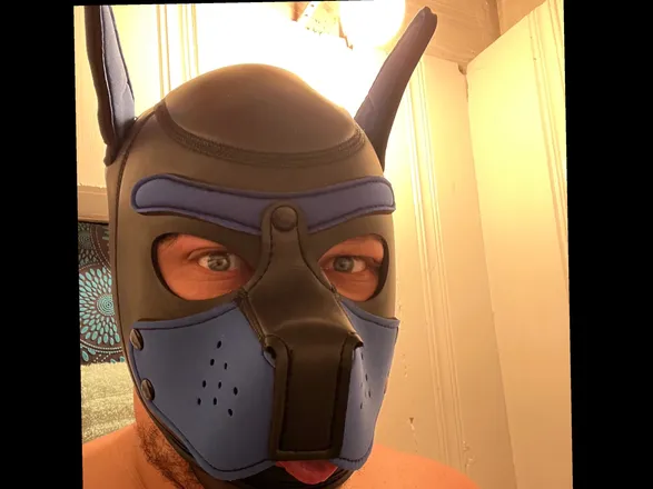 OnlyFans cuenta pupban header 2