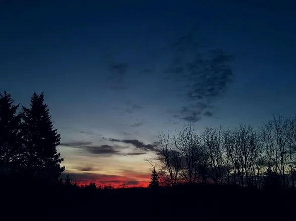 OnlyFans cuenta fang3.0 header 2
