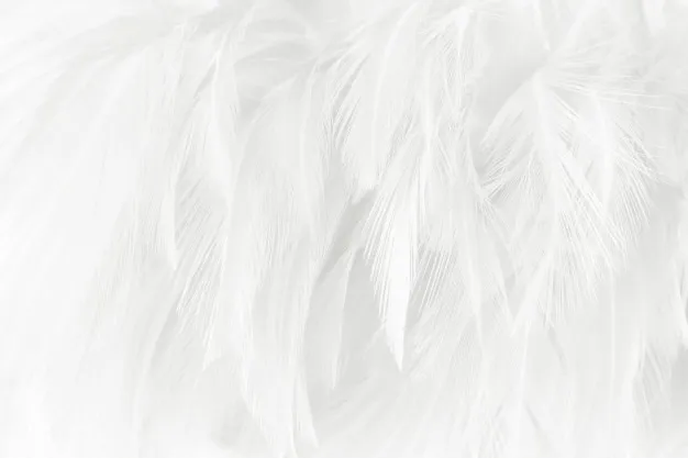 OnlyFans cuenta angel.grey021 header 2
