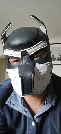 OnlyFans cuenta pixelpup327 avatar 1