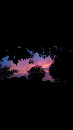 OnlyFans cuenta lgbtstoner header 2