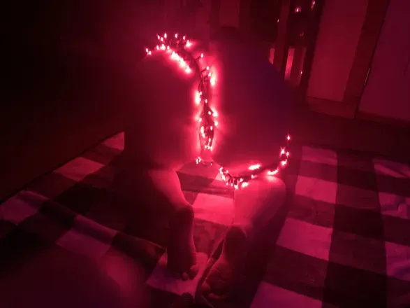 OnlyFans cuenta cashbunnybaby avatar 1