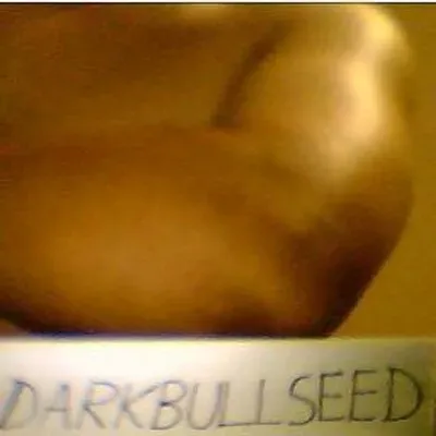 OnlyFans cuenta darkbullseed avatar 1