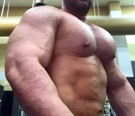 OnlyFans cuenta ryanmusclegod avatar 1