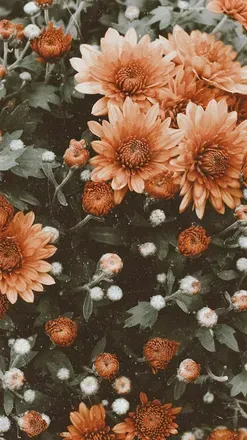 OnlyFans account  mchristinee header 2