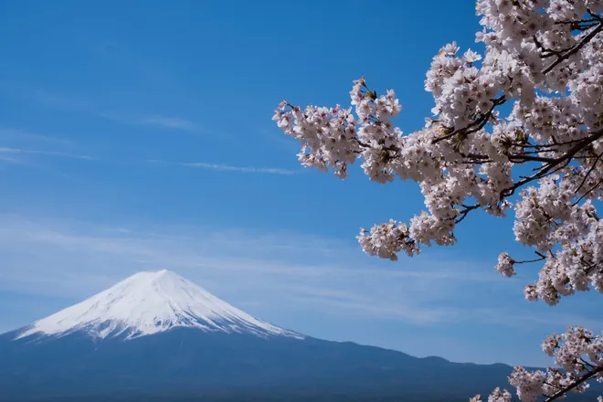 OnlyFans cuenta kuromaho header 2