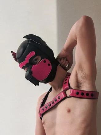 OnlyFans cuenta sakurapup_to header 2