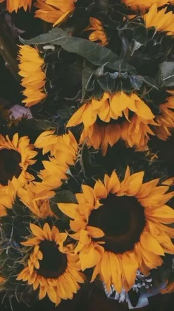 OnlyFans cuenta lea_gomez header 2