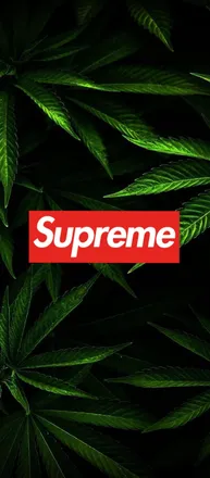 OnlyFans cuenta blunttxoslxtt header 2