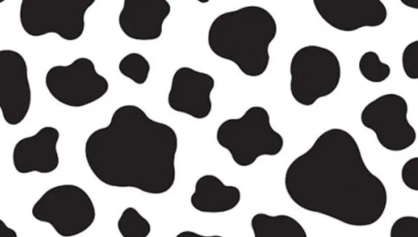 OnlyFans cuenta korovavera header 2