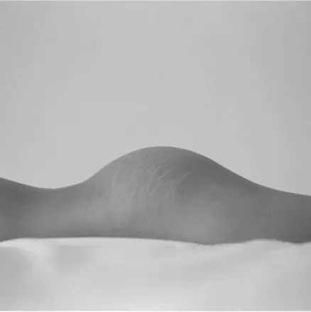 OnlyFans cuenta mrsdeer header 1