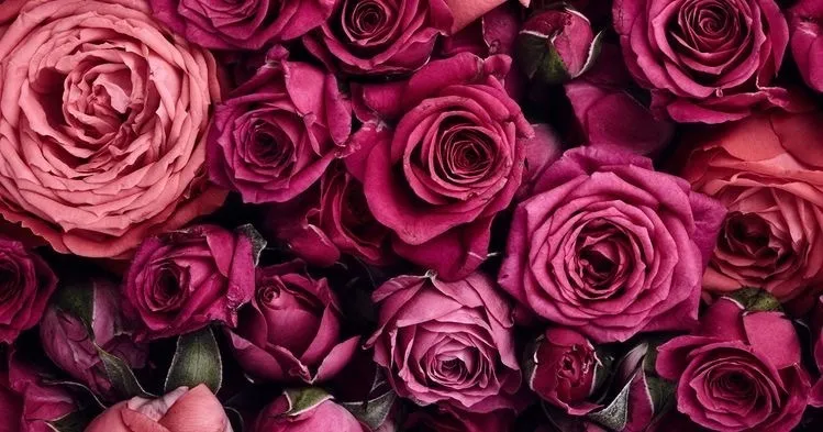OnlyFans cuenta beneficiallover header 2
