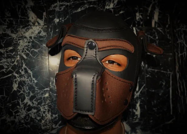 OnlyFans cuenta x_thepup001 header 2