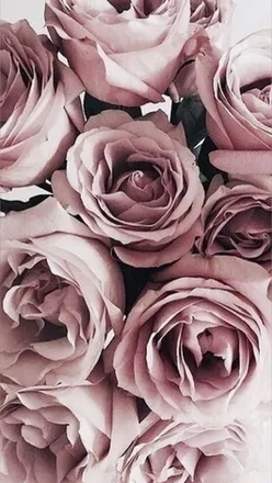 OnlyFans cuenta mistressheel header 2