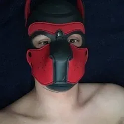 OnlyFans account  pup101 avatar 1