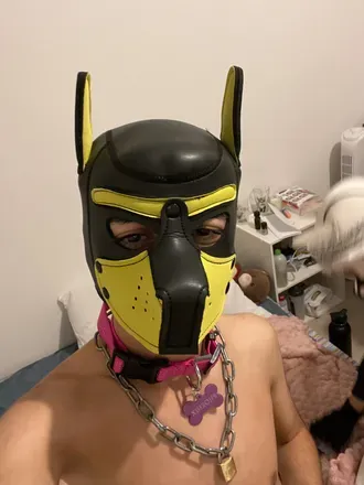 OnlyFans cuenta pupphoenix avatar 1