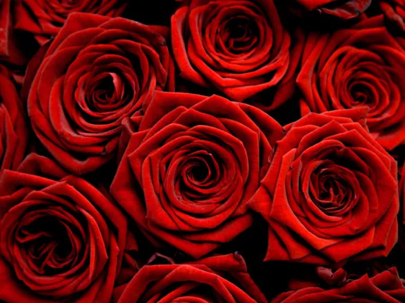 OnlyFans cuenta lunagrey.016 header 2
