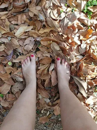OnlyFans cuenta all_about_feet avatar 1