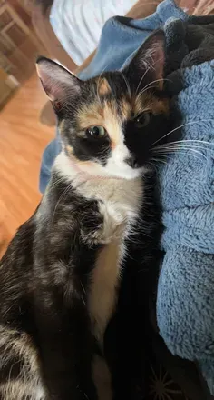 OnlyFans cuenta notactive.lexhys avatar 1
