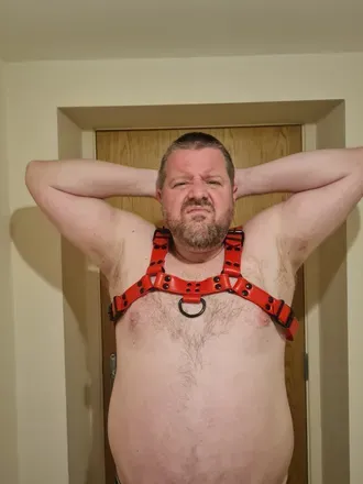 OnlyFans cuenta steviebear1973 avatar 1