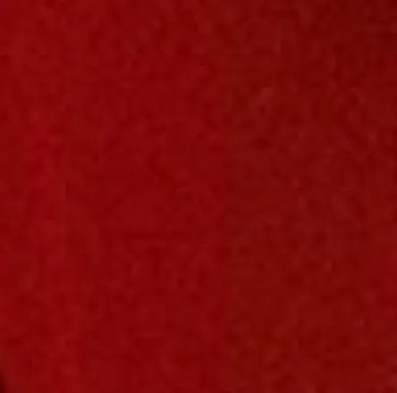 OnlyFans cuenta polinaroja header 1