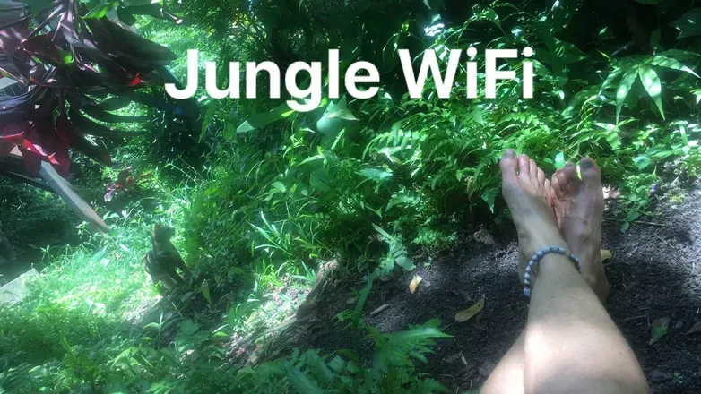 OnlyFans account  tropicalstarseaexposed header 2