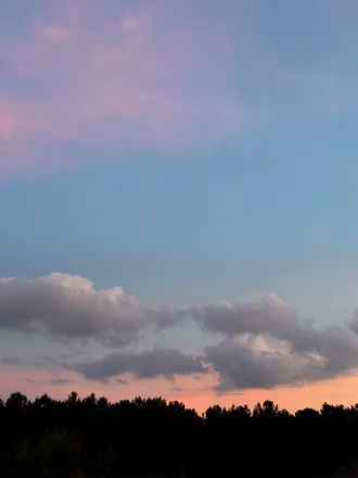 OnlyFans cuenta whatsyourali.bi header 2