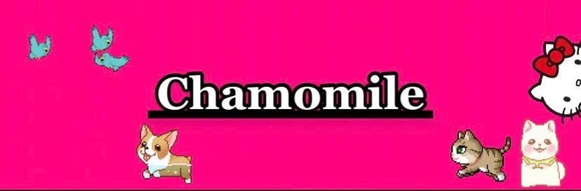 OnlyFans account  chamomiledarlin header 2