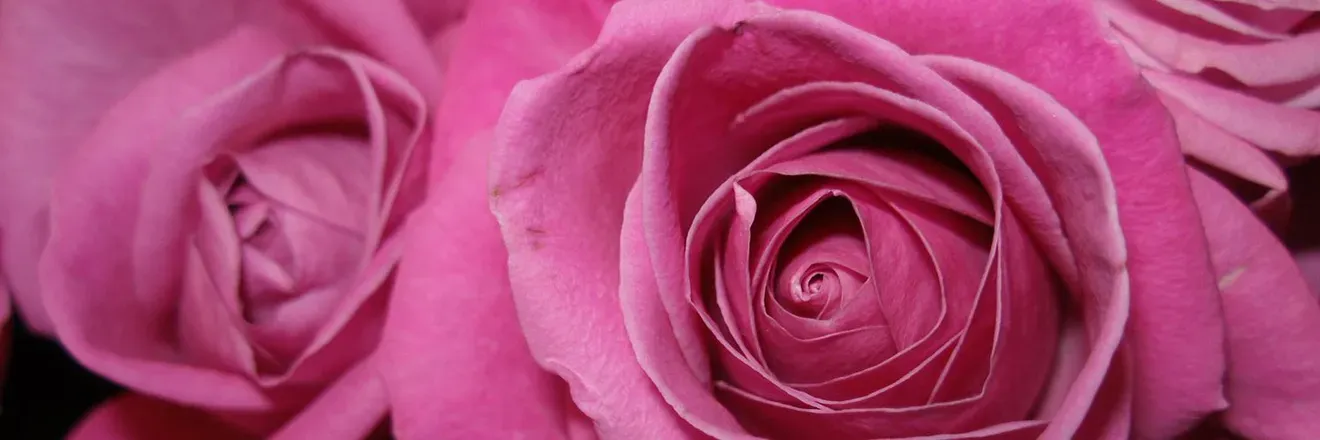 OnlyFans cuenta vickiirose header 2