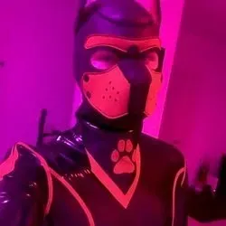 OnlyFans cuenta pupkami avatar 1