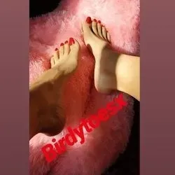 OnlyFans cuenta birdytoesx avatar 1