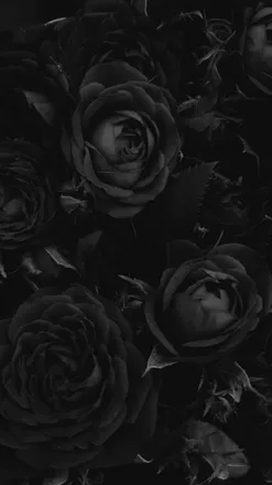 OnlyFans cuenta somet1mes header 2
