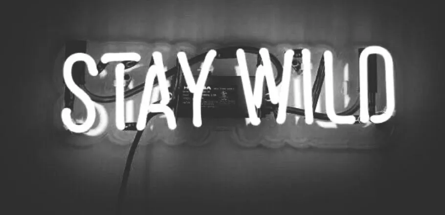 OnlyFans cuenta wildin101 header 2