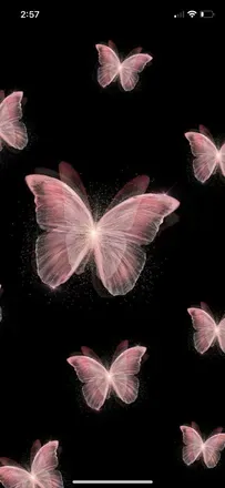 OnlyFans cuenta captivating_butterfly header 2