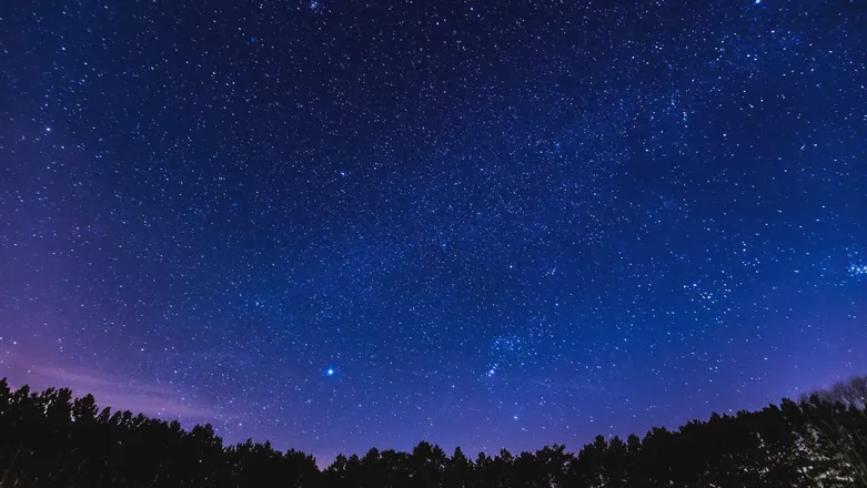 OnlyFans cuenta tagyourit2 header 2