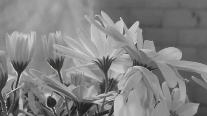 OnlyFans cuenta grissel_75 header 2